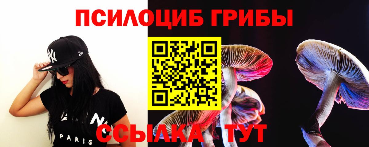 Ирбит  Псилоцибиновые грибы GOLDEN TEACHER  как найти закладки  Псилоцибиновые грибы GOLDEN TEACHER  Вход с VPN 